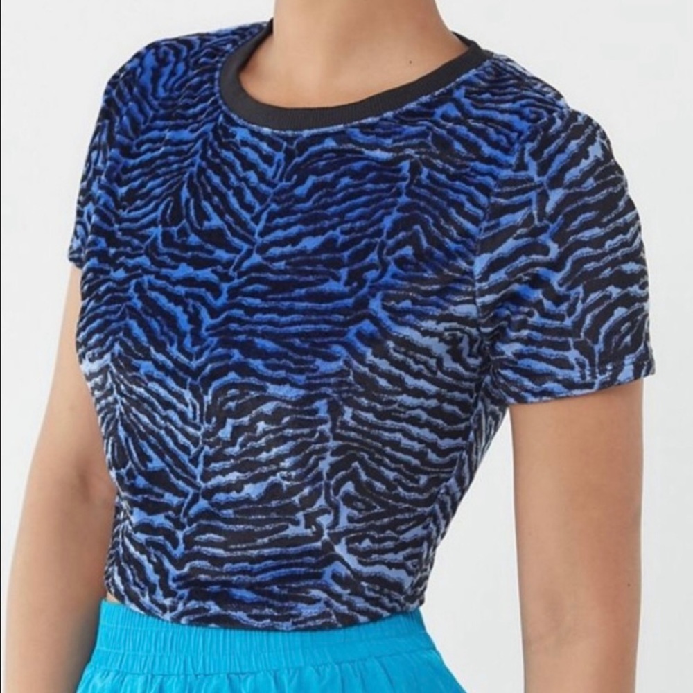 UO Bright Blue & Black Zebra Velvet Crop Top